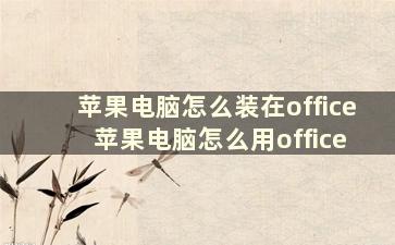 苹果电脑怎么装在office 苹果电脑怎么用office